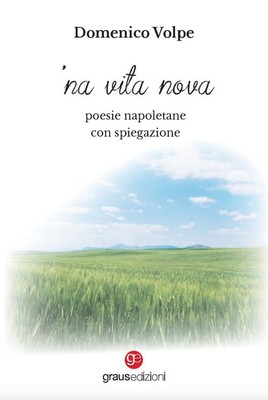 Domenico Volpe 'Na vita nova. Poesie napoletane con spiegazione (Paperback)