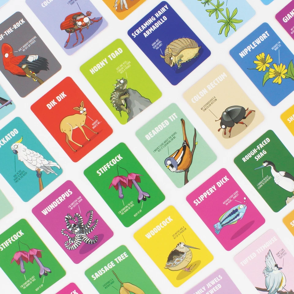 Don't Be A Dik Dik | Matching Card Game For Adults | Hilarious Animal Names - Image 3 of 4