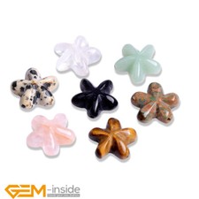 Natural Gemstones Starfish Loose Spacer 20mm Beads For Jewelry Making 2 Pcs AU