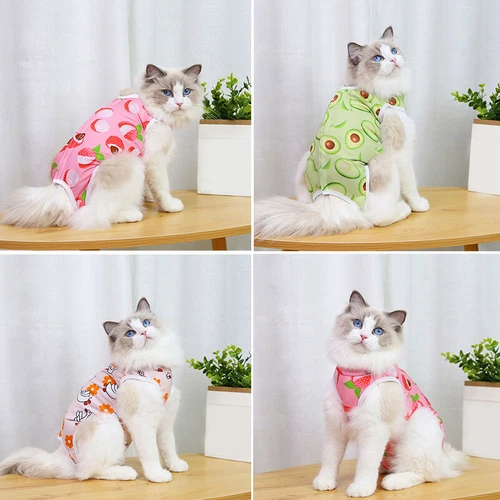 Katze Erholung Anzug für Wunde Shirt Anti Lecken nach der Operation Kleidung - Bild 5 von 9