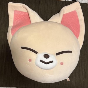 Skzoo Cushion | eBay