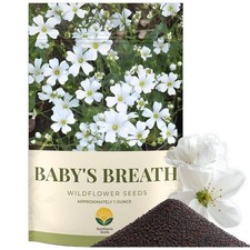 Baby’s Breath Seeds – 20,000+ Seeds – 1 oz Bulk Resealable Packet – Quick Blo... 233.44 per gallon