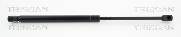 Heckklappen DäMpfer Gasfeder Kofferraum Triscan 8710 43230 FüR Hyundai Santa FÉ-image