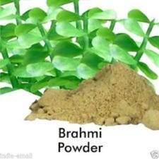 Brahmi Powder Bacopa Moniera Organic Indian herb Memory Boaster FREE SHIP-100gm 