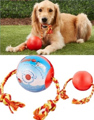 boomer ball for dogs