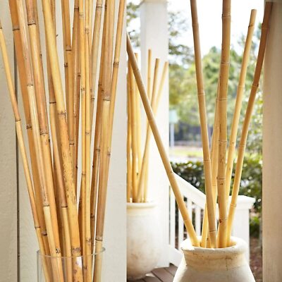 Bamboo Sticks Wooden Plant support Stick Garden canes Flower Poles  2/3/4/5/6/7Ft | eBay