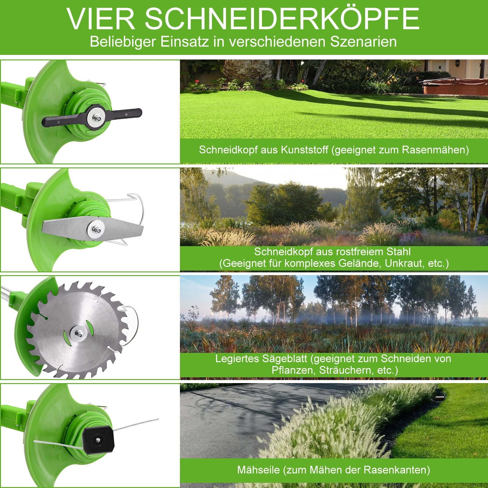 Bild 2 von 12
