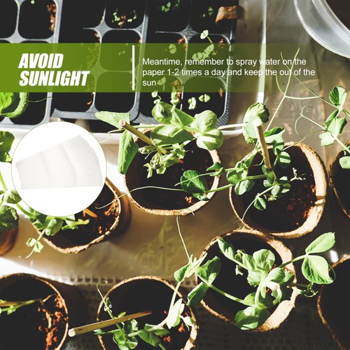 50 Pezzi Carta Verdure Coltivazione Vivaio Carta Germinazione Coltivazione Senza Suolo - Foto 8 di 12