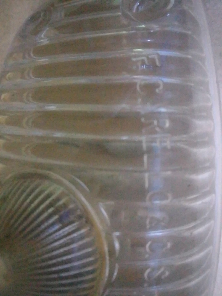 FERRARI 275 GTB NUEVO GENUINO LENTE LUZ INVERSA CARELLO Foto 3 de 3