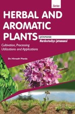 Herbal And Aromatic Plants - Nardostachys Jatamansi Jatamansi 