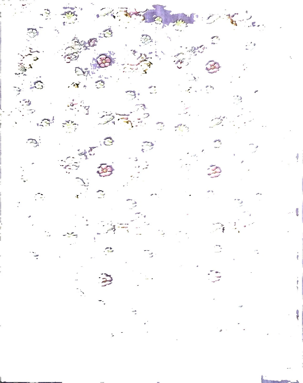 Dora la Exploradora hojas planas de vivero