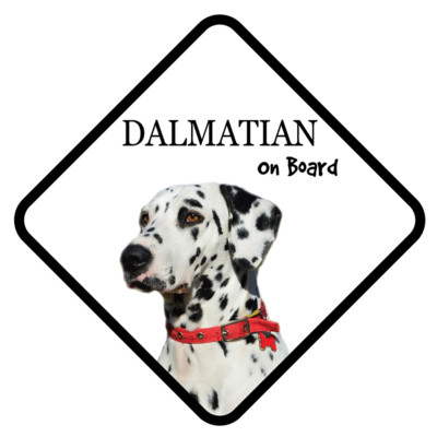 DALMATINER Autoschild an Bord mit Saugerhund Aufklebern