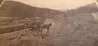Vintage Photograph Lot Victorian Edwardian Real Photo Collection People Portrait