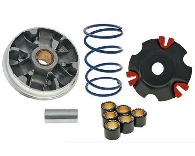 Peugeot Speedfight 1 100 Malossi Multivar 2000 Variator Kit - Kat Modelle