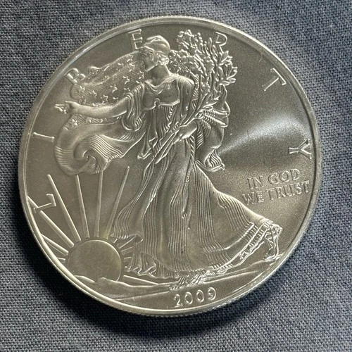2009 American Silver Eagle 1 oz .999 Fine Silver BU Tube Fresh