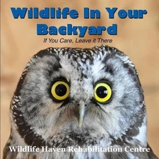 Wildlife in Your Backyard: If You Care - Leave it There! by Wildlife Haven Rehab