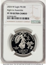 2024-W Proof Platinum Eagle 1 oz Brown Label NGC PF70 2940.00 per troy oz