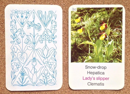 Top Trumps Single Cards Flowers Plants Quartets issue Various (FB3) - Picture 15 of 30