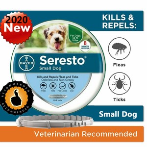 seresto small dog collar ebay