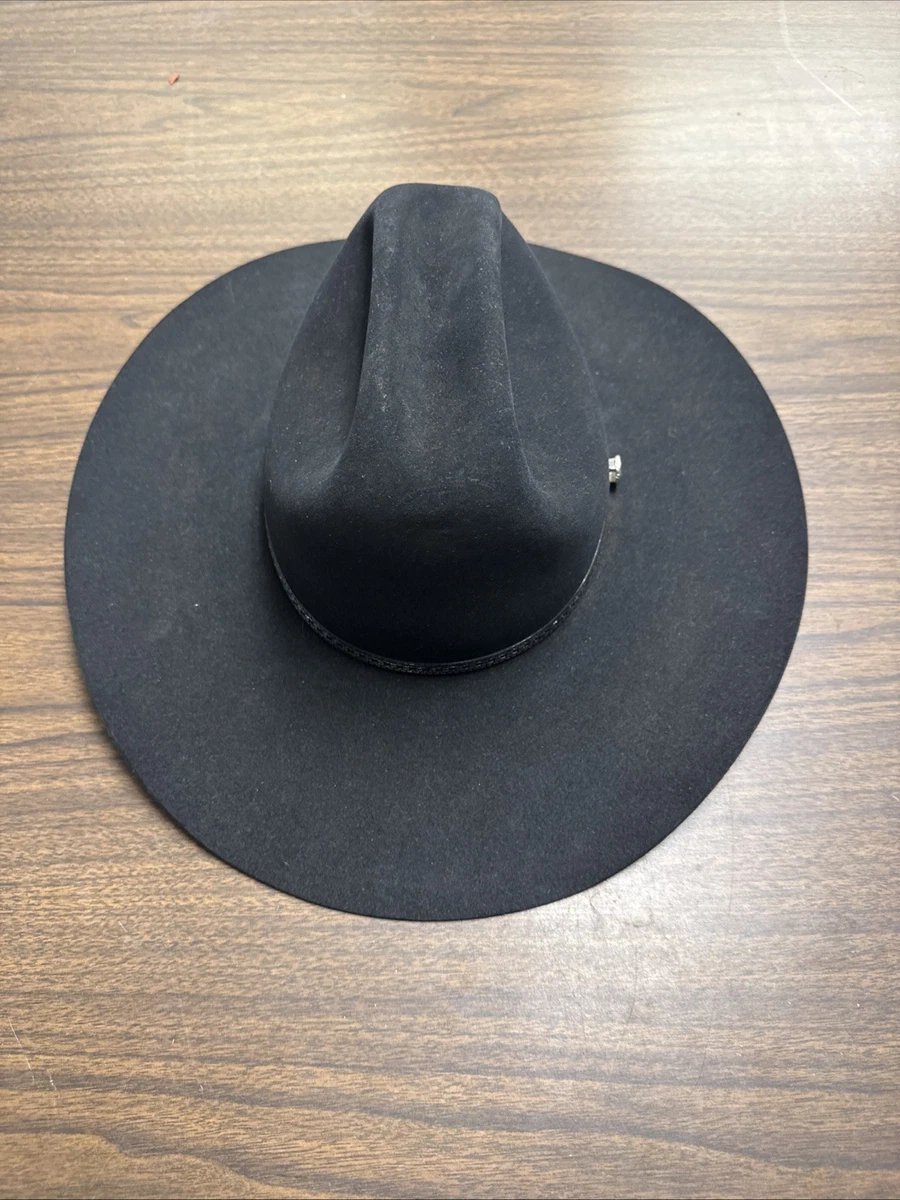 最終値下げ‼️ステットソン4Xビーバーハット/ウエスタンハットJBSピン/羽つき Stetson Beaver Hats for Men for sale | eBay
