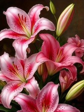 5D Diamond Painting Kits for Adults, Lily Flower Diamond Art for Beginners, DIY