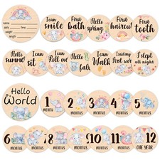 Baby Monthly Milestone Cards Signs - 13 Double Sided Little Elephant Mileston...