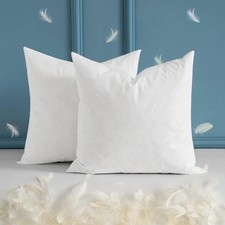 MIULEE 22 x 22 Throw Pillow Inserts, Set of 2 22x22 Inch Pack 2 , White