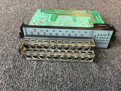 Reliance Electric  PLC Shark XL AC 16 Point Output Module 45C965 SSR-30 day wty