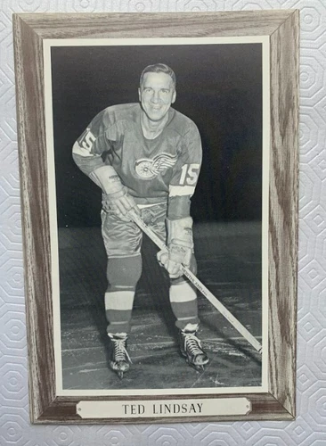 Ted Lindsay- beehive hockey cards 1964-1967