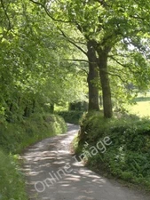 Photo 6x4 Springhill Down Hill Mogworthy A detail of the scene in [[24323 c2011