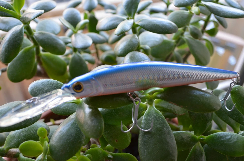 TAKE Wobbler Jerkbait Deep Crankbait Trolling Schlepp 11cm, 13gr #2 SS