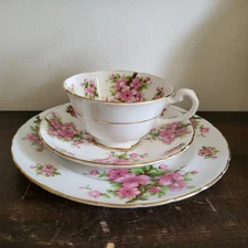 Royal Chelsea England Pink Peach Blossom Trio Cup And Saucer Salad Plate 