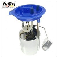 Hajus Benzinpumpe Kraftstoffpumpe Mit Tankgeber FÜR Audi Seat VW TSI FSI