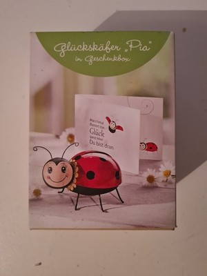 Glückskäfer Pia Figur OVP Holz Metall Geschenkbox Karte Glück