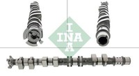 Schaeffler INA 428 0176 10 Nockenwelle FüR Chevrolet Opel