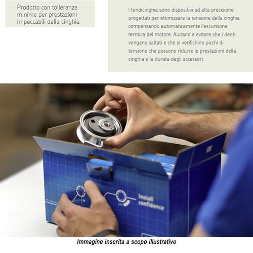 Kit Cinghia Distribuzione SKF + Pompa Acqua Ford Fiesta V 1.25 16V 55 KW 75 CV - Foto 4 di 5