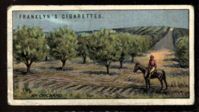 Tabakkarte, Franklyn Davey, OVERSEAS DOMINIONS AUSTRALIA,1923,S Queensland,#23