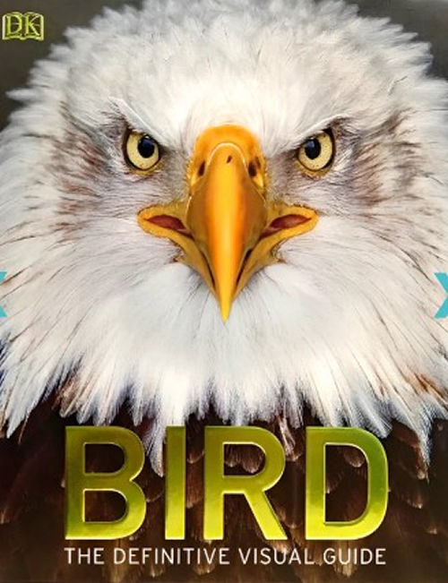 BIRD: The Definitive Visual Guide