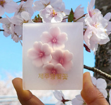 K-Beauty JISOUL Jeju King Cherry Blossom Natural Soap Handmade Spring Pore Care