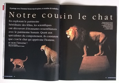 LE FIGARO MAGAZIN vom 03.01.1998 - DiCaprio (Titanic) / Bruegel: Vom Vater zum Sohn - Bild 8 von 12