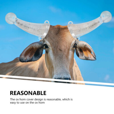 Stier, Koe En Kalf Van Het Watusi-vee in Steppe Stock Foto - Image of