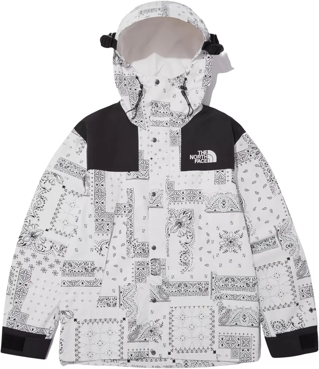 The North Face Novelty ECO GTX Gore-tex Mountain Jacket White