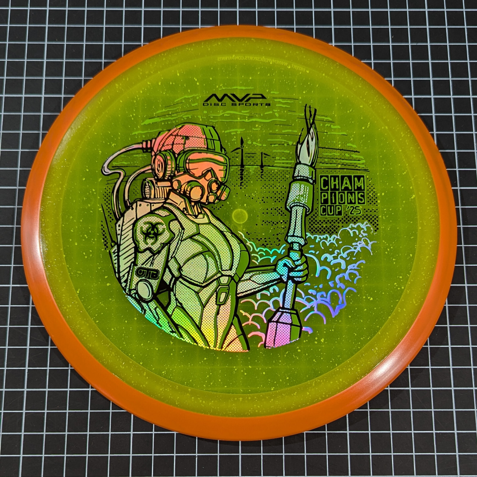 Picture 4 of 31