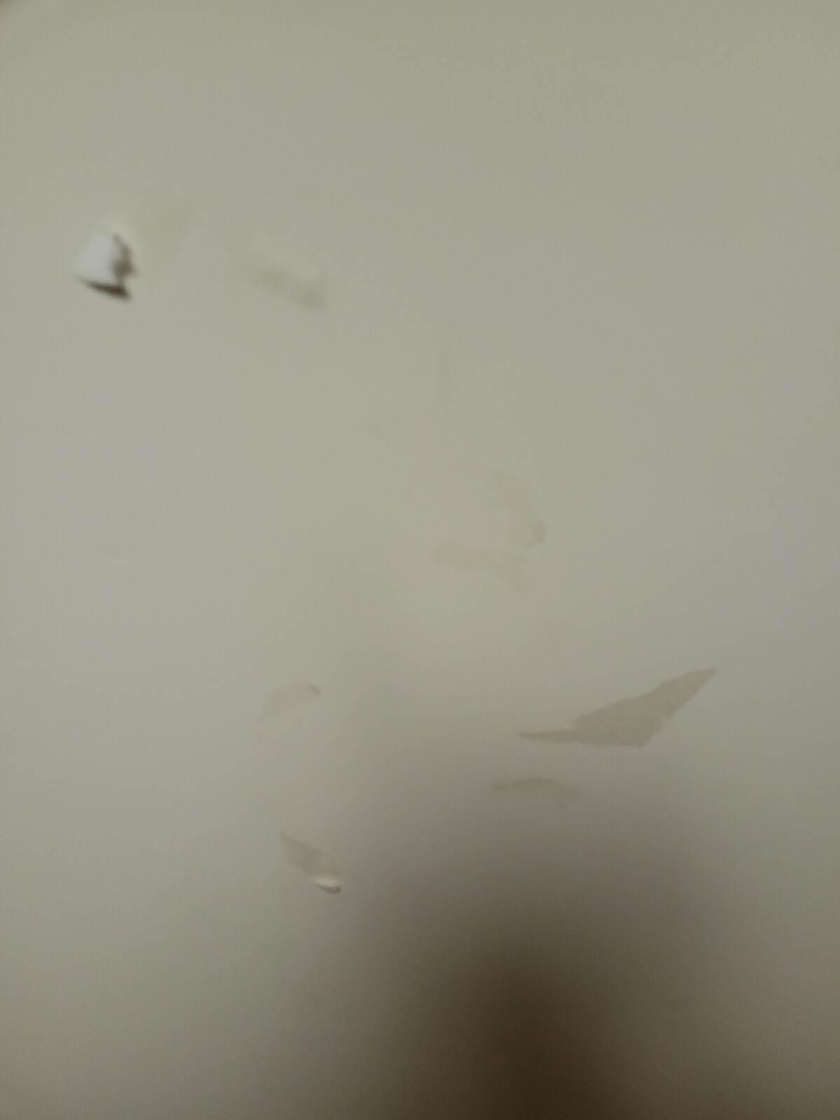 Picture 3 of 22