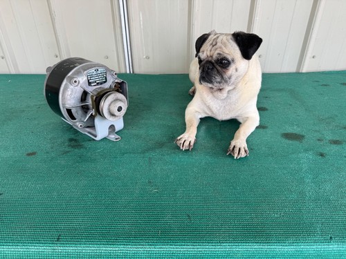 Emerson Electric Motor 1/3 HP - 1725 RPM - 115 Volts - Made in USA