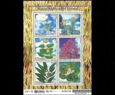 Medicinal Plant autochthonous flora an fauna Brazil UPAEP Brasil 2003 MINT