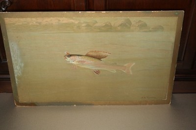 1902 A.D. Turner litho print Montana Grayling fish fly fishing Sackett Wilhelms