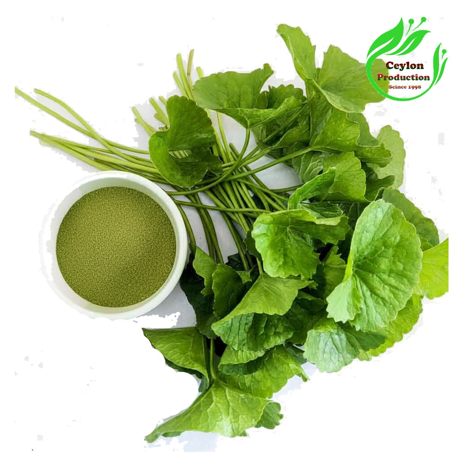 Gotu Kola Centella asiática hojas molidas polvo seco orgánico herbal pennywort