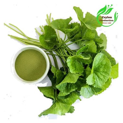 Gotu Kola Centella asiatica Leaves ground powder Dried Organic  Herbal pennywort