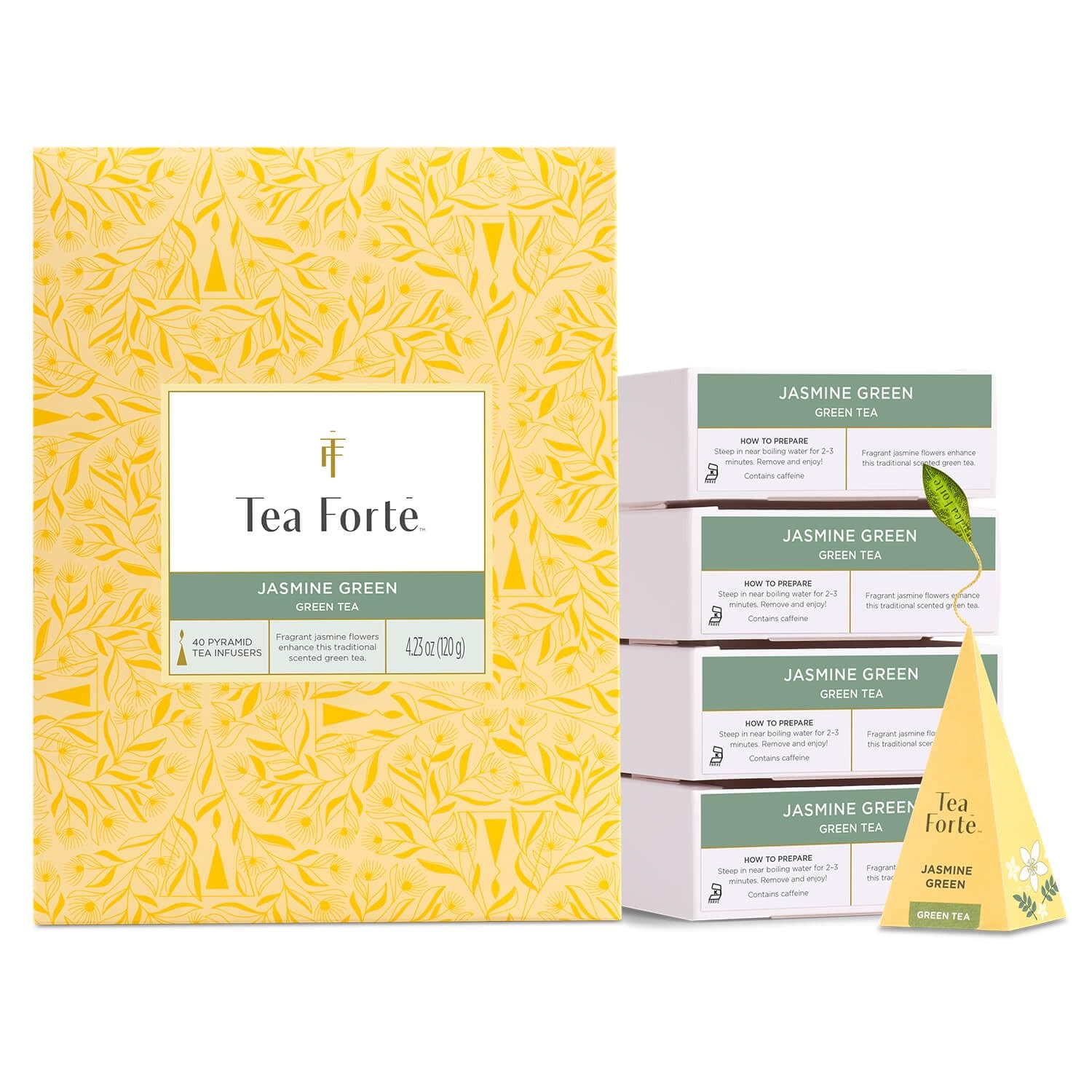 Forte Jasmine Green Premium Caffeinated Green Tea Blend Event Box, Bulk P...